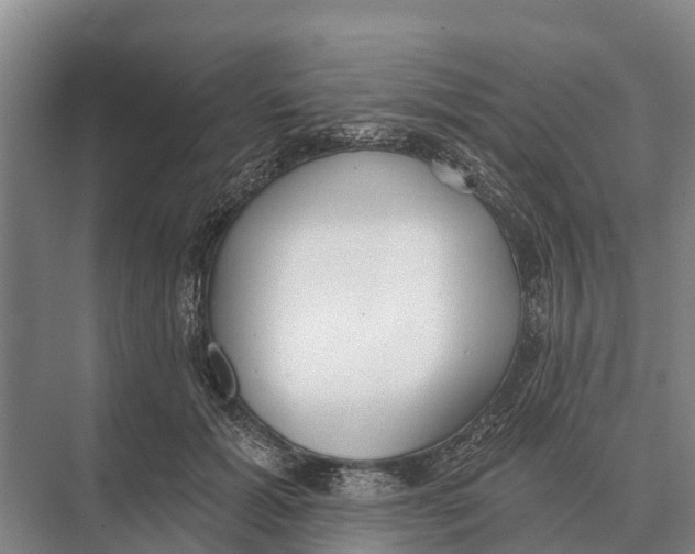 X0000071960605200608041621