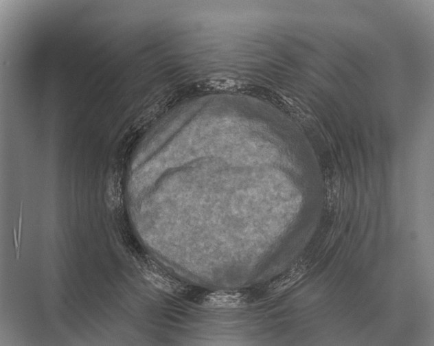 X0000071960606200608041621