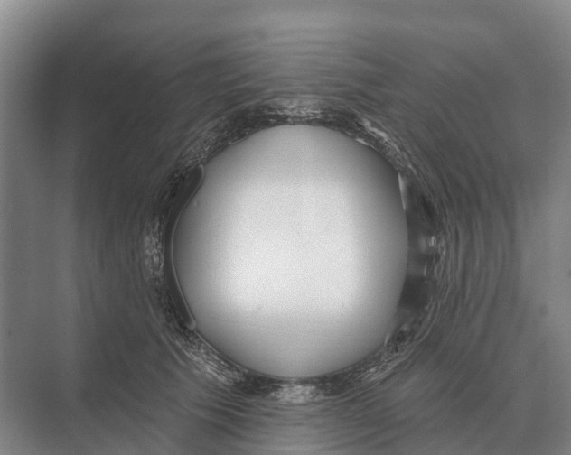 X0000071960609200608041621