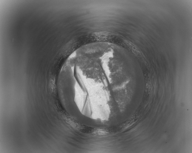 X0000071960610200608041621