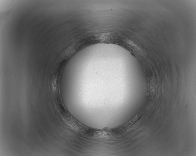 X0000071960611200608041621