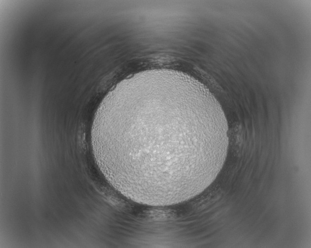 X0000071960615200608041621