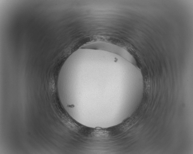 X0000071960617200608041621