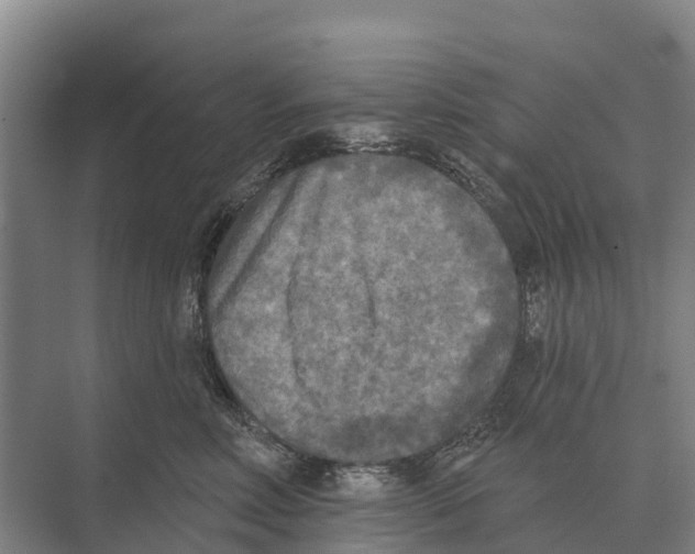 X0000071960618200608041621