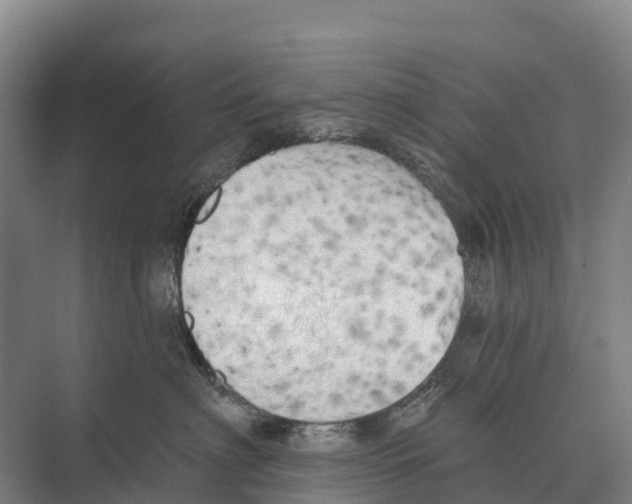 X0000071960622200608041621