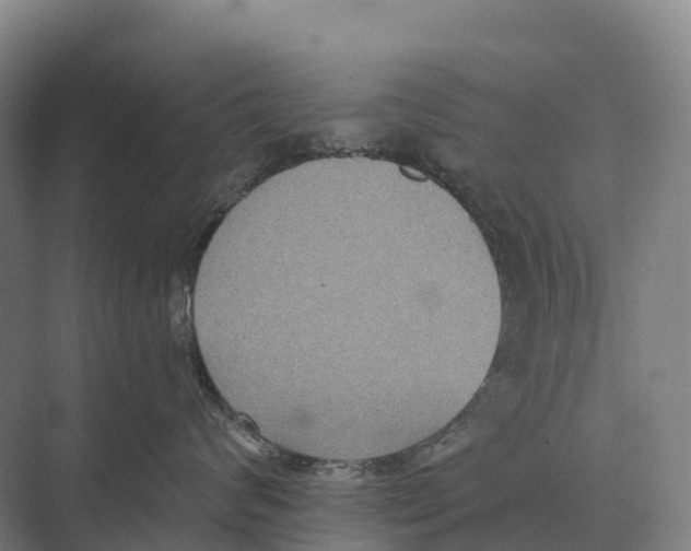 X0000071960624200608041621