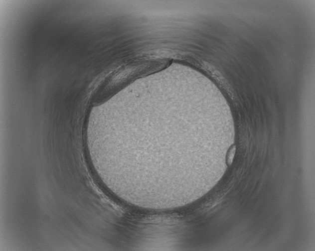 X0000071960625200608041620