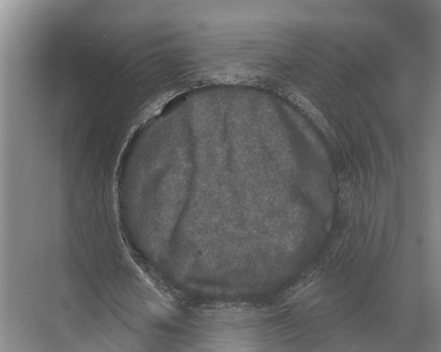 X0000071960626200608041620