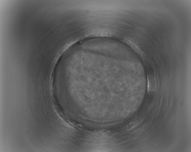 X0000071960627200608041620