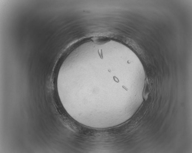 X0000071960628200608041620