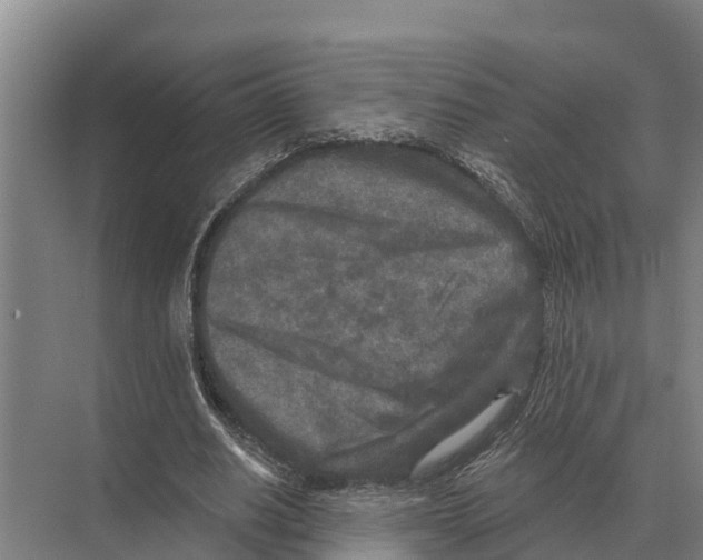 X0000071960630200608041620