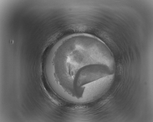 X0000071960638200608041620