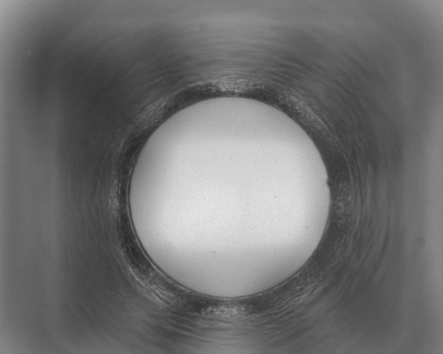 X0000071960639200608041620