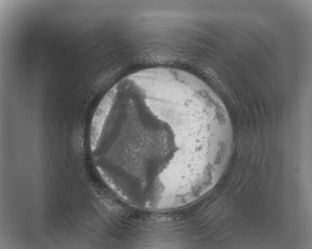 X0000071960640200608041620