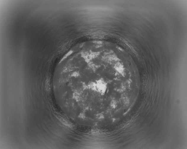 X0000071960641200608041620