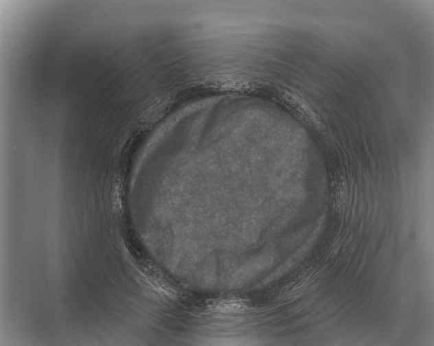 X0000071960643200608041620