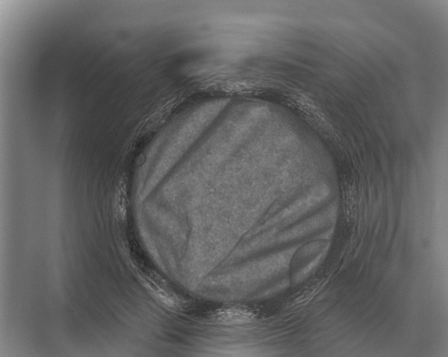 X0000071960644200608041620