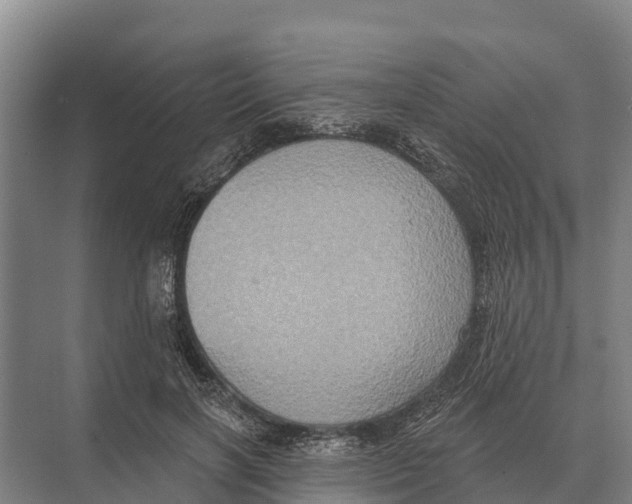 X0000071960646200608041620