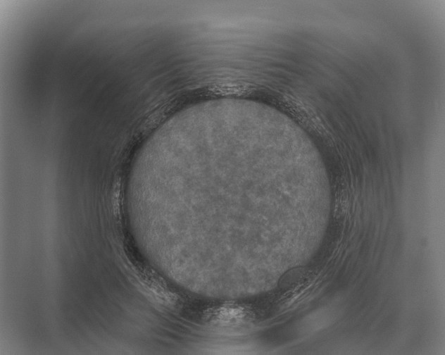 X0000071960647200608041620