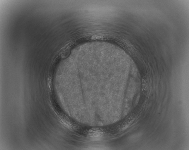 X0000071960648200608041620