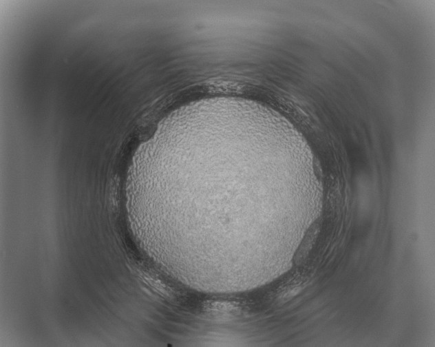 X0000071960649200608041620