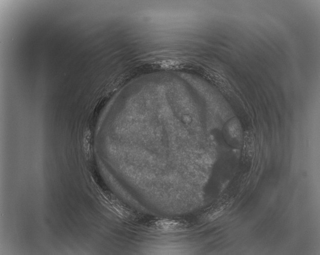 X0000071960650200608041620