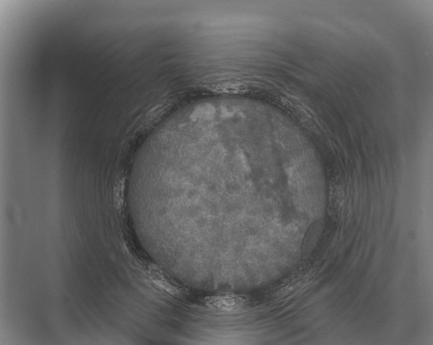 X0000071960652200608041620