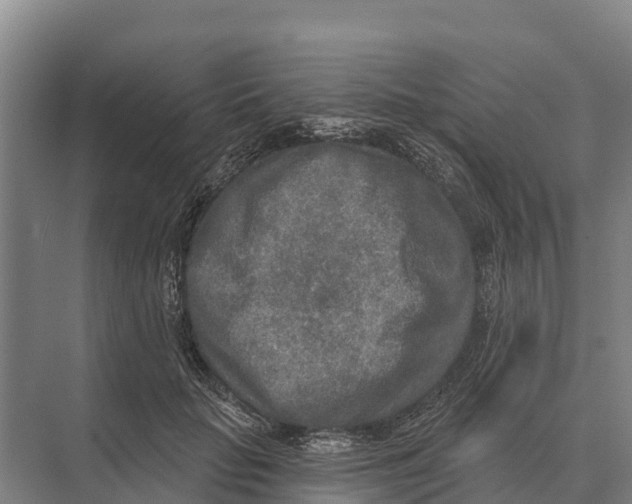 X0000071960653200608041620