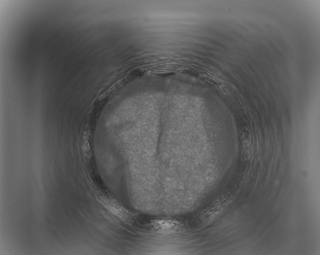 X0000071960654200608041620