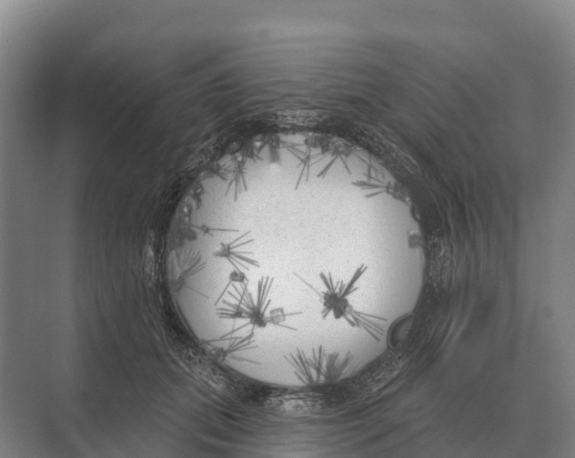 X0000071960655200608041620