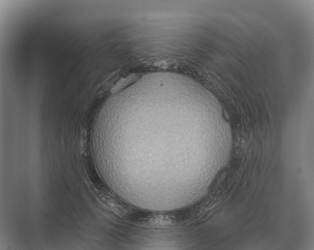 X0000071960656200608041620