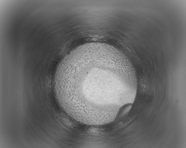 X0000071960657200608041620