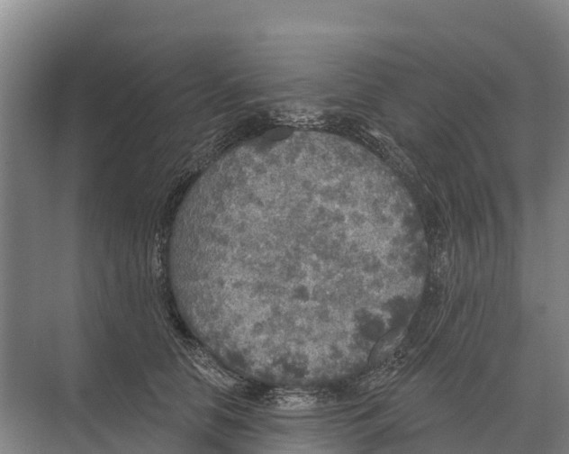 X0000071960658200608041620