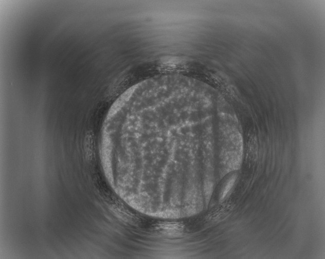 X0000071960659200608041620