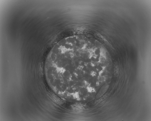 X0000071960661200608041620