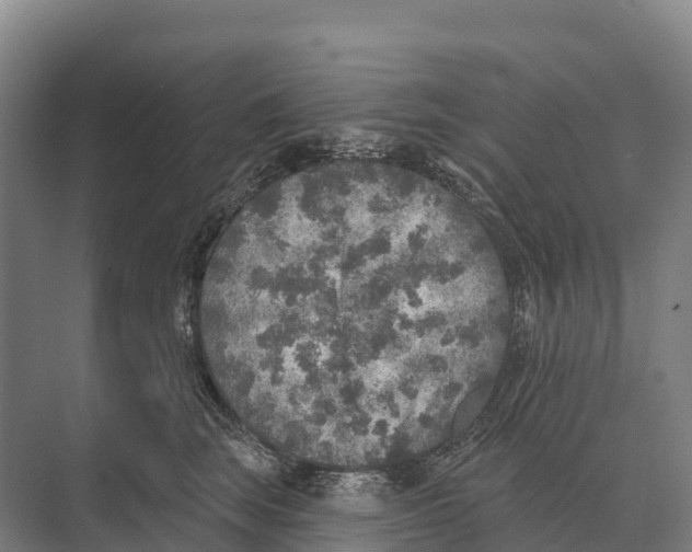 X0000071960663200608041620