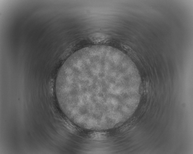 X0000071960664200608041620