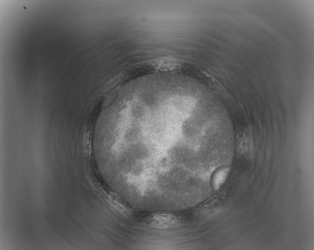 X0000071960666200608041620