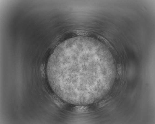 X0000071960667200608041621