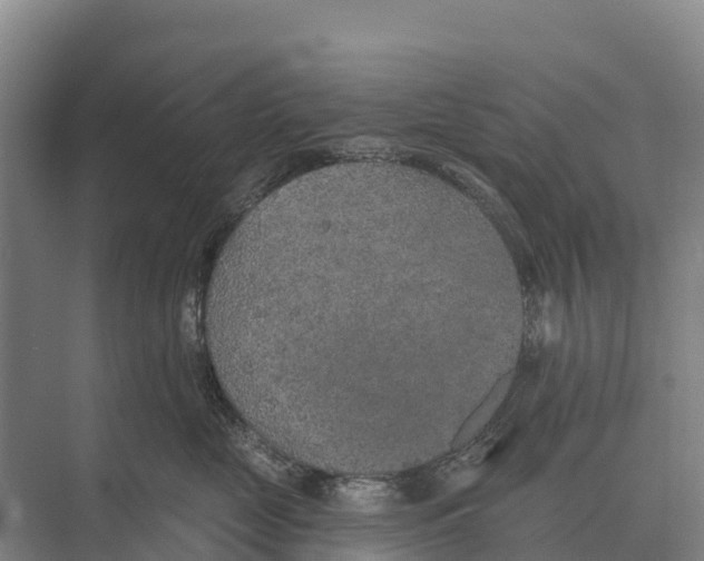 X0000071960669200608041621