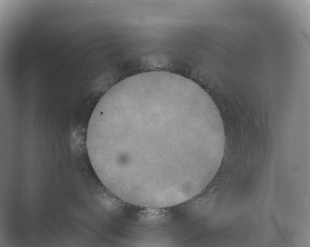 X0000071960672200608041621