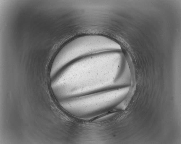 X0000071960673200608041620