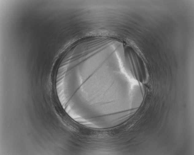 X0000071960674200608041620