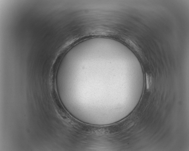 X0000071960675200608041620