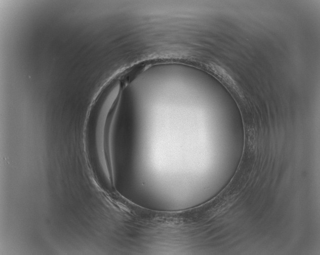 X0000071960676200608041620