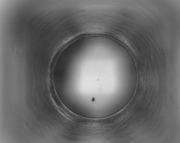 X0000071960677200608041620