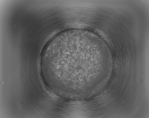 X0000071960679200608041620