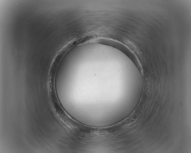 X0000071960680200608041620