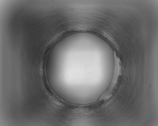 X0000071960681200608041620