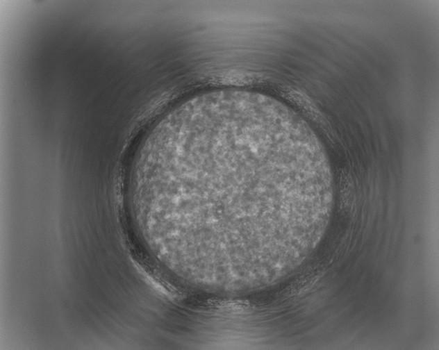 X0000071960683200608041620